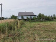   .         ,       . ,  -   