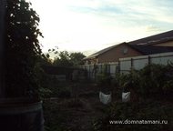 :   .         ,      . 