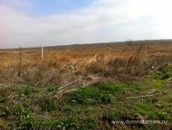   .         ,       . ,  -   