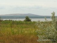 :   .        ,     . 