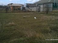 :   .         ,      . 