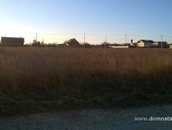 :    .          ,       . 