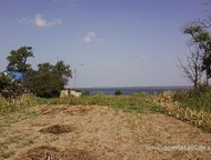   .         ,      . ,  -   