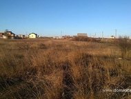 :    .          ,       . 