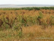 :   .        ,     . 