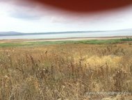 :   .        ,     . 