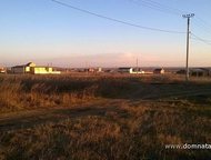 :    .          ,       . 