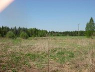   .   15     . .   . ,  ,    . ,  -   