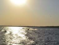 ������: ������������ � ������������. ������ �������� �������, � 12 �� �� ����, � ������ ������� �������, ������� ������������, ������������ ������������ � ���