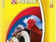  :      Purina - -        . (  10  