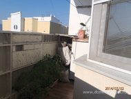 :      ,   ׸  500 . 14 .  : 2008,    