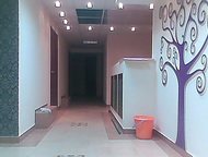       
 -      
 -  ,  - ,  ()