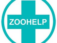   24   ZooHelp   ,          10-20 ,  -  