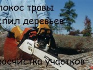   ,  ,     ,  ,   ,  , - -  