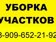 -:     ,  ()   -        .   -  /   