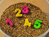 :     ! 
   ! 
    200  -         2 