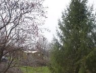   6    6 . ,   (),   
  -
  . 
    , -- -   