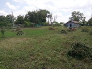    15  50                , . , , -- -   