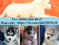    ,  ,      )   !      ,  -  ,  