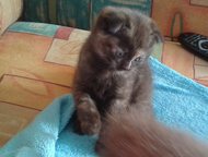 -:      (29. 12. 14 . . )      (     
