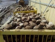 Продажа камней валунов, от 1 куба Продажа нерудных материалов. Продажа камней валунов. Использование для альпийских горок, благоустройства дорог (въез, Санкт-Петербург - Строительные материалы