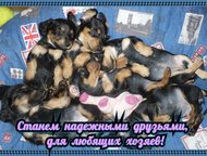 -:   ,     , 29. 07. 2015    6  , 4   2 ! 