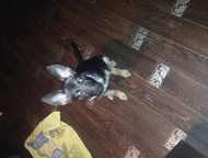         ,    , 3 ,    :       , - -  ,  