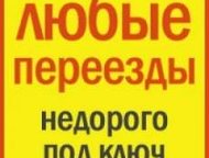        1  5 .   !    !  -  ,   -  ()