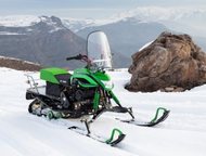   Dingo T150  -      . -   ,   -  