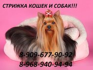 :                  : 8-968-940-94-94 
  
 8-909-677-90-