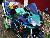 : Honda cbr 954 rr fireblade   ,  ,   , , , .   , 2002  ,   2005