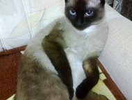     ,   ,     )   !  -),  -   ()