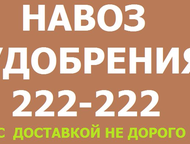 :  ,           ,          8 