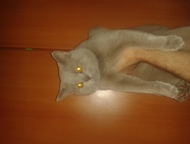 :   1 1       ,  ,   - .   ,  ,