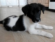 -:  ,     -  , ,      !   2- 3 .   