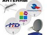 -:   tv  -       -,    : 
 1. , 