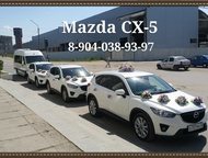   Mazda cx5   mazda cx5   .    6 .    
 8-904-038-9,  -  