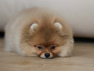 :            3      25   