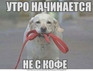            ,    .  ,  -  