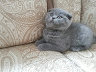 :     5 , ,  , -!   , ,   ,   