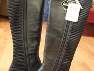   Hogl       Hogl,  38, 5.   50%   ,  -   ,  -  