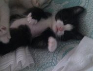 :    , ! 3  .    .    ,  4 , , .